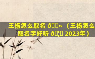 王杨怎么取名 🌻 （王杨怎么取名字好听 🦋 2023年）